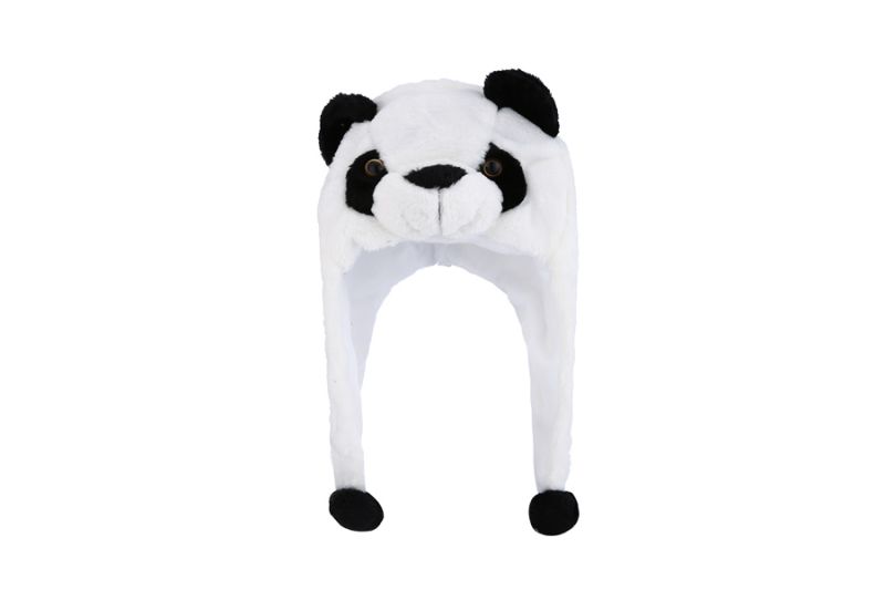 CAP00827