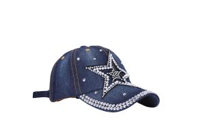 CAP00533