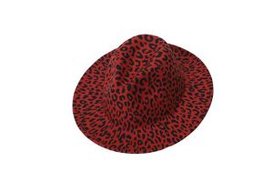 CAP00608