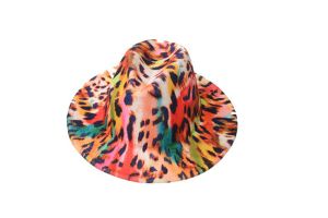 CAP00664