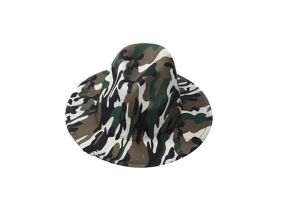 CAP00670