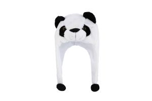 CAP00827