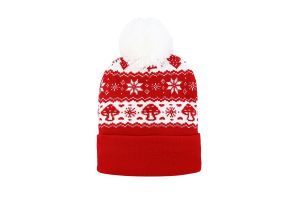 CAP00833