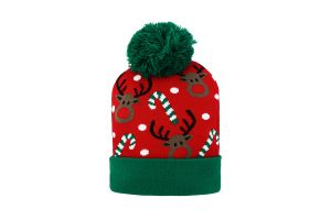 CAP00838