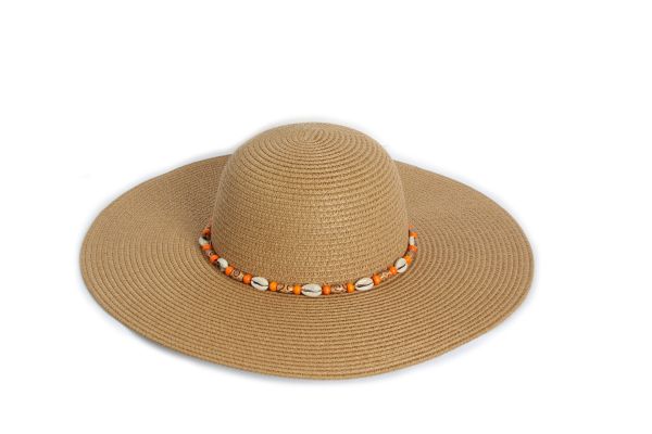 CAP00677