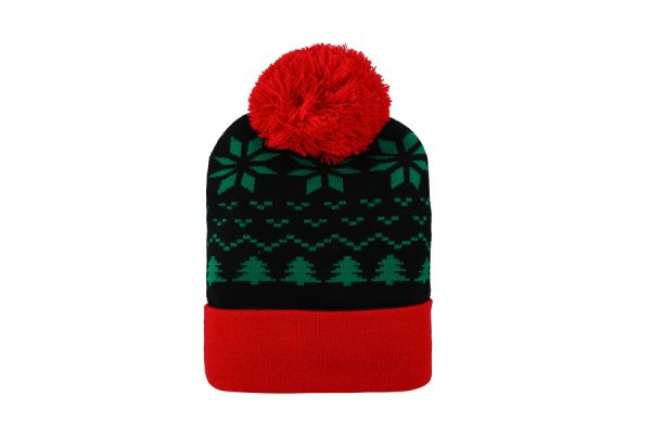 CAP00834